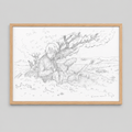 Dessin original - Les Etoiles - Emmanuel Sap